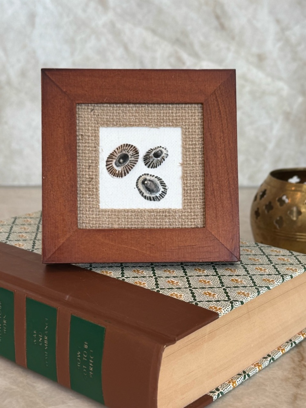 Rustic Mini Wood Frame with Burlap Mat and Shell Art - Brown